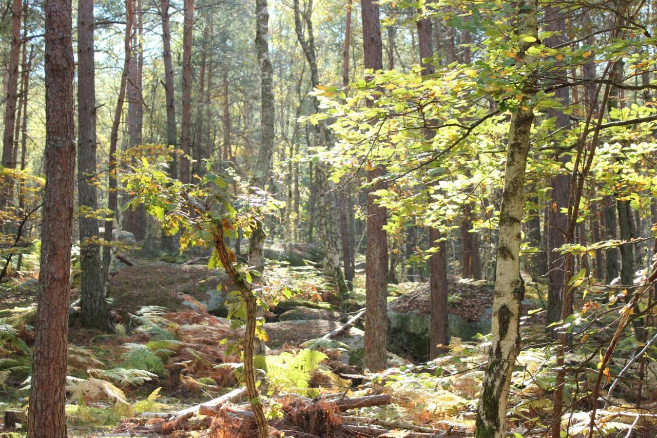 Ma Gentilhommiere Bed and Breakfast Croutoy Eksteriør billede